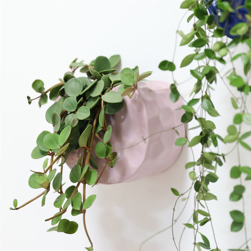 POT MURAL by &KLEVERING - photo 2