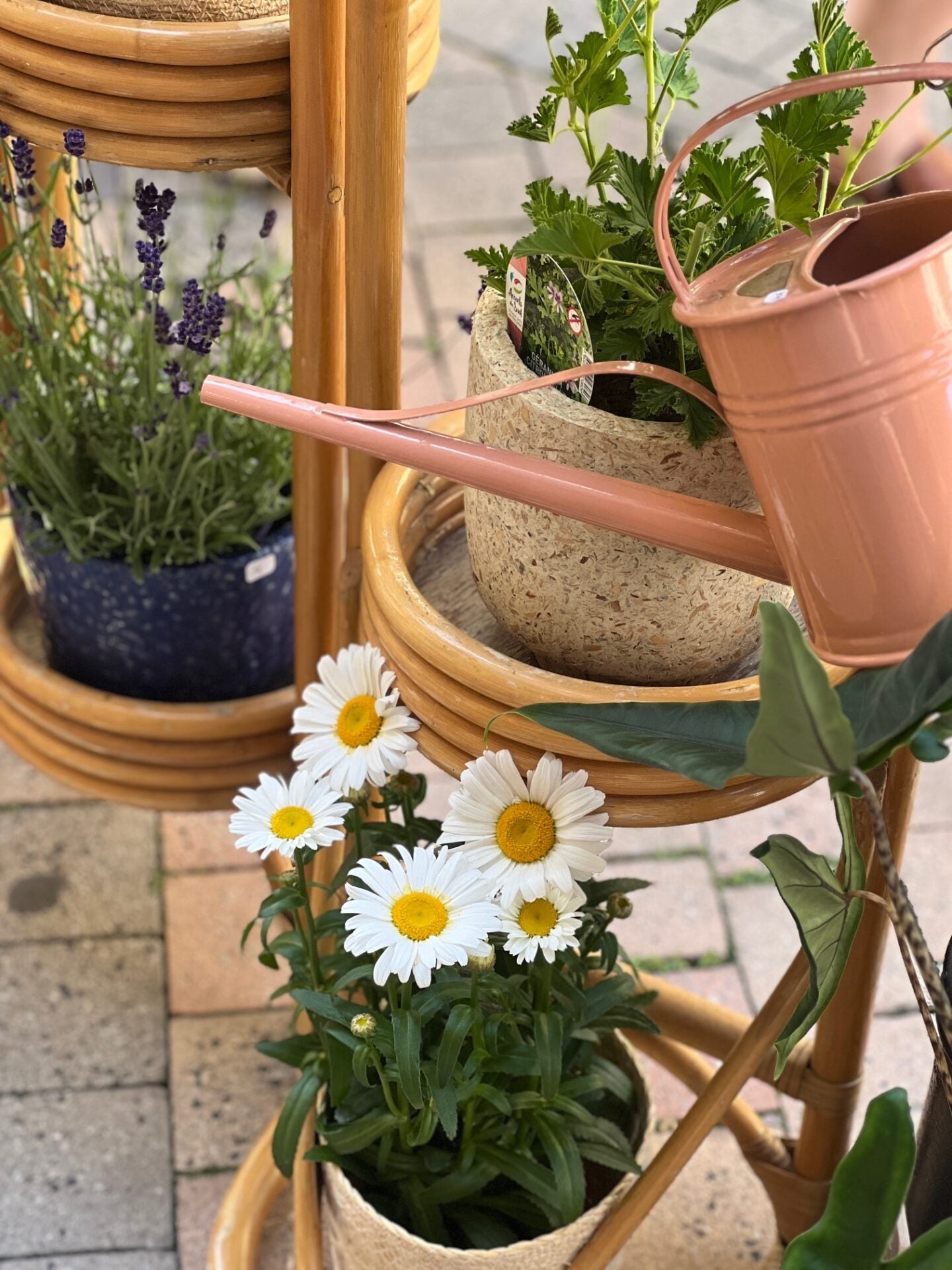 ARROSOIR ROSE PLINT 1,5L - photo 2