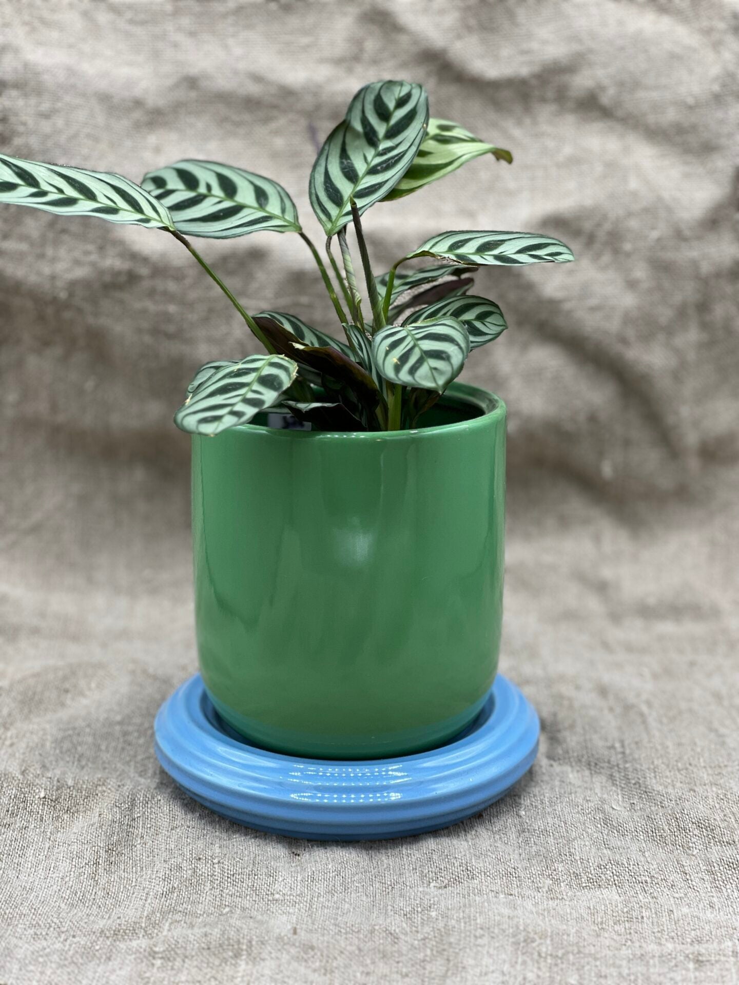 POT À PLANTER CHURROS VERT ET BLEU by &amp;KLEVERING - photo 1