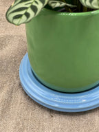 POT À PLANTER CHURROS VERT ET BLEU by &amp;KLEVERING - photo 3