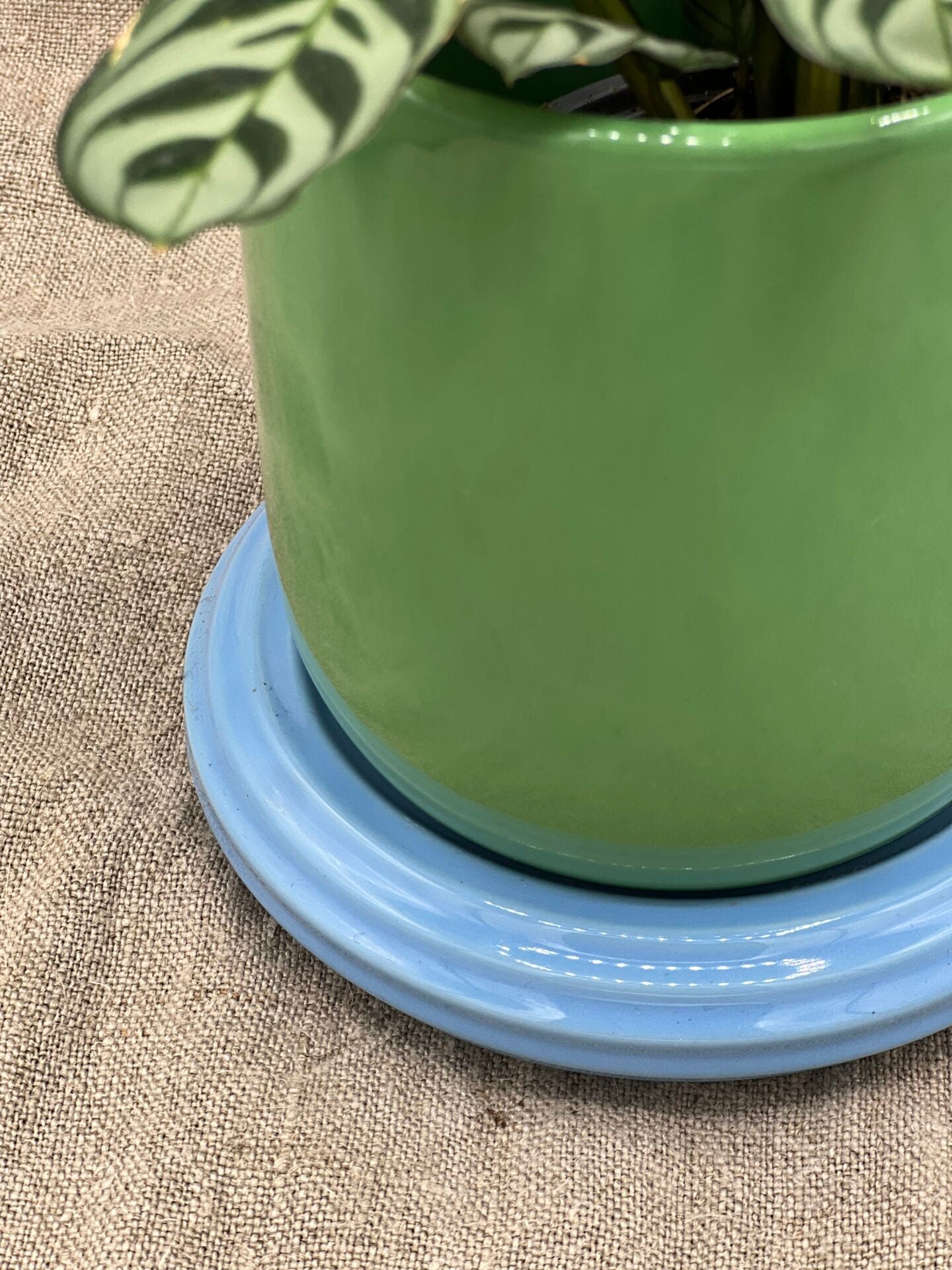 POT À PLANTER CHURROS VERT ET BLEU by &amp;KLEVERING - photo 3