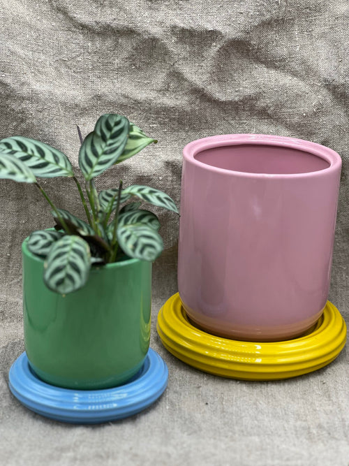 POT À PLANTER CHURROS VERT ET BLEU by &amp;KLEVERING - photo 2
