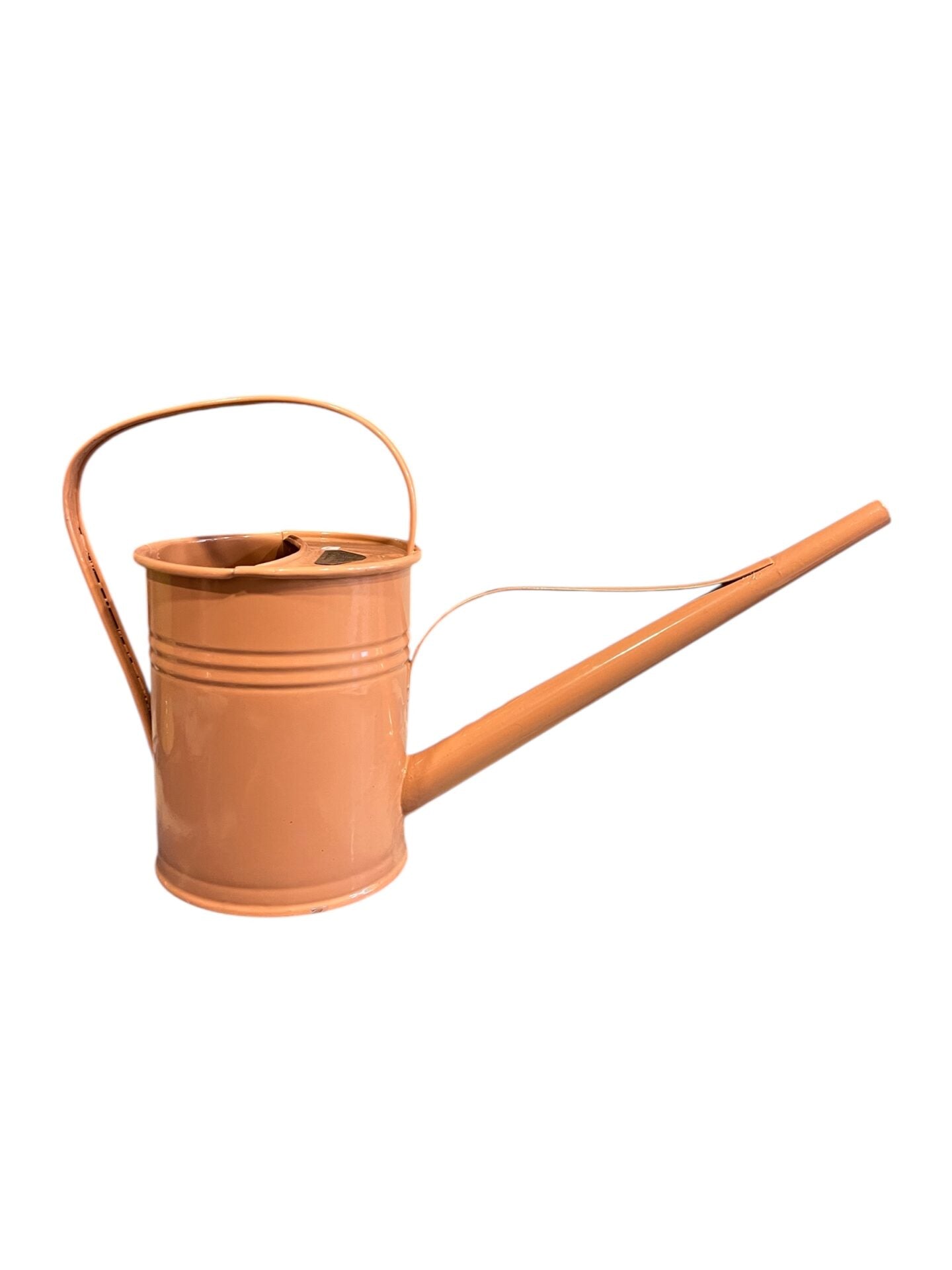 ARROSOIR ROSE PLINT 1,5L - photo 1