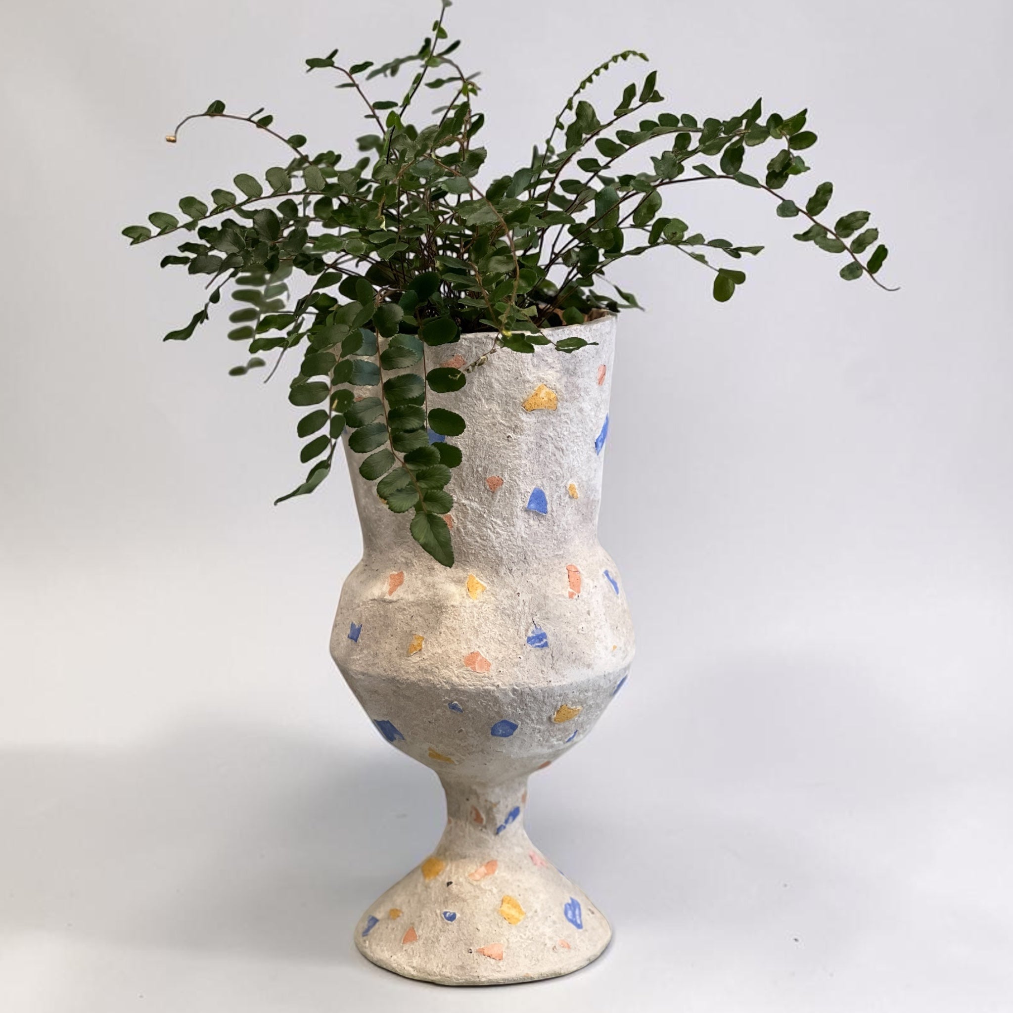Coupe pour plante by Emekitu