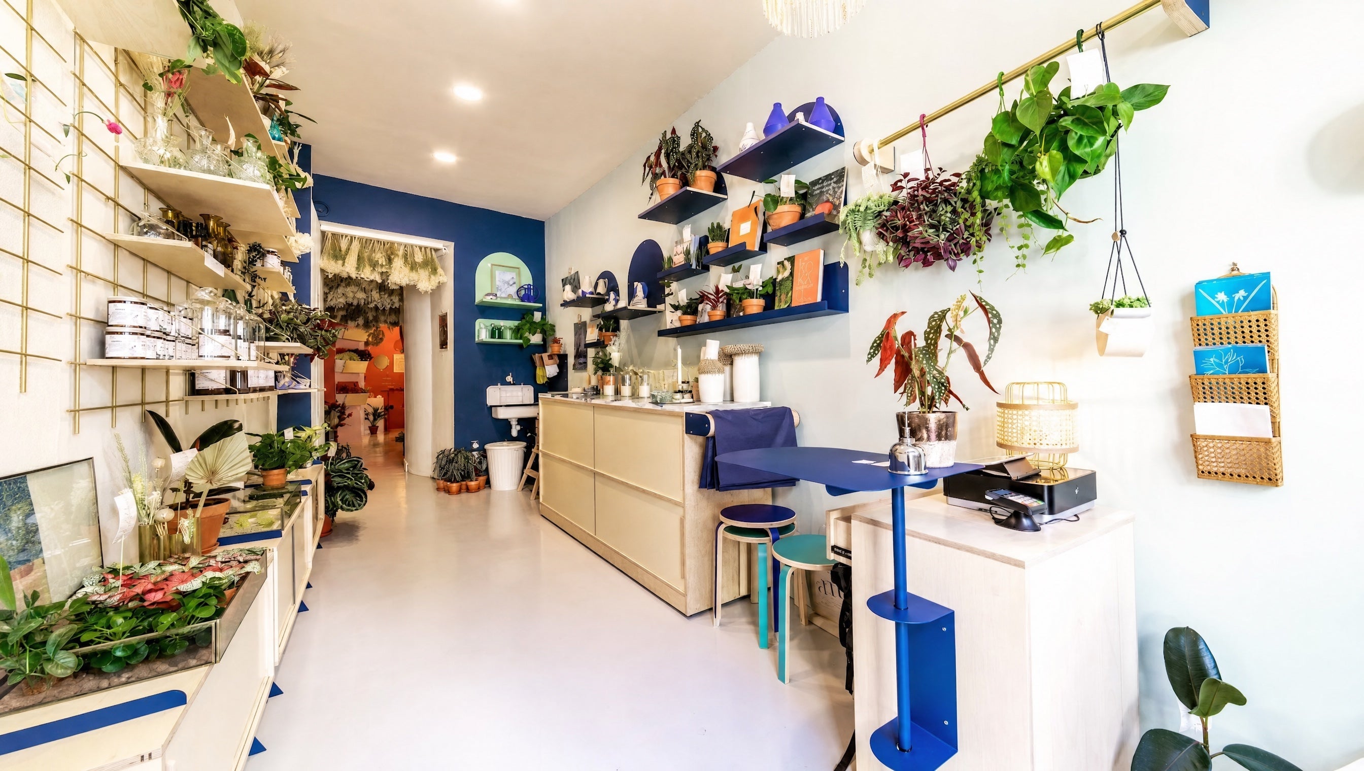 Intérieur de la boutique ÂME fleuriste & magasin de décoration à Bordeaux rue Castillon : mur bleu, étagères de céramiques, plantes suspendues et présentoir de bouquets de fleurs séchées