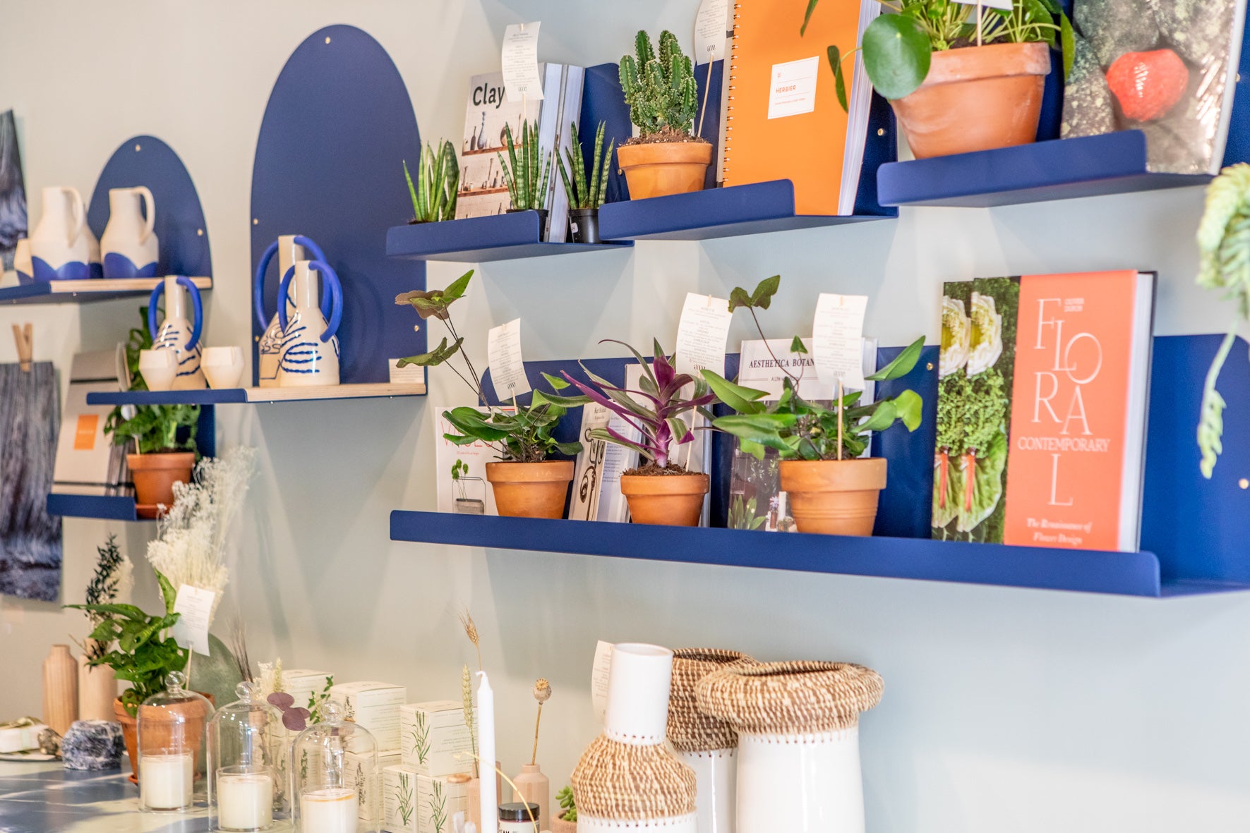 Étagères bleu marine avec plantes en pots terracotta et objets d'artisanat dans la boutique Âme à Bordeaux | ÂME Fleuriste Bordeaux