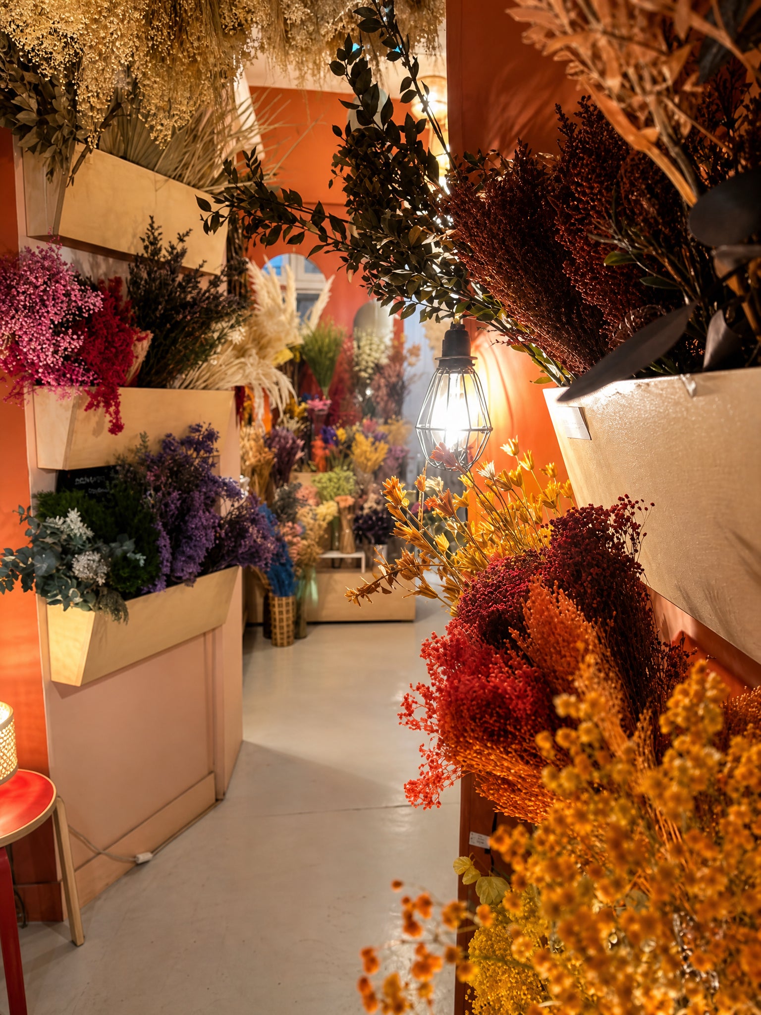 Sélection de fleurs séchées multicolores présentées dans la boutique Âme à Bordeaux | ÂME Fleuriste Bordeaux