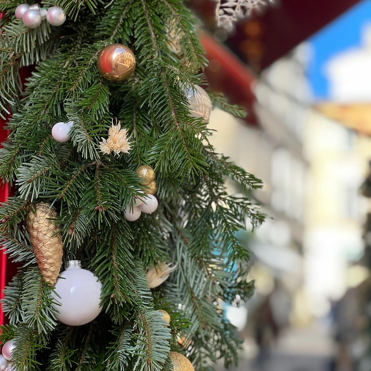 Vitrine de Noël Marie Tournelle — Bordeaux — Âme Bordeaux fleuriste